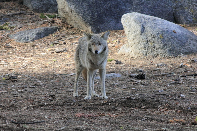 f:id:tama12:20120501175639j:image f:id:tama12:20120501175639j:image