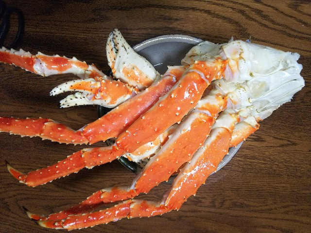 f:id:tama2usachan:20190107155553j:image