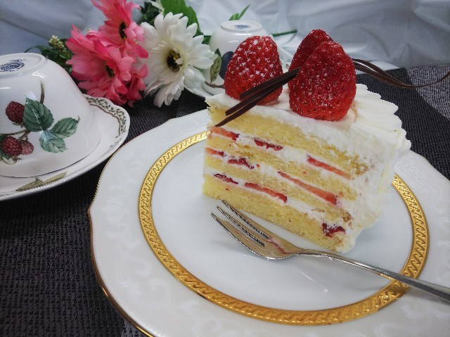 f:id:tama2usachan:20190208131742j:image