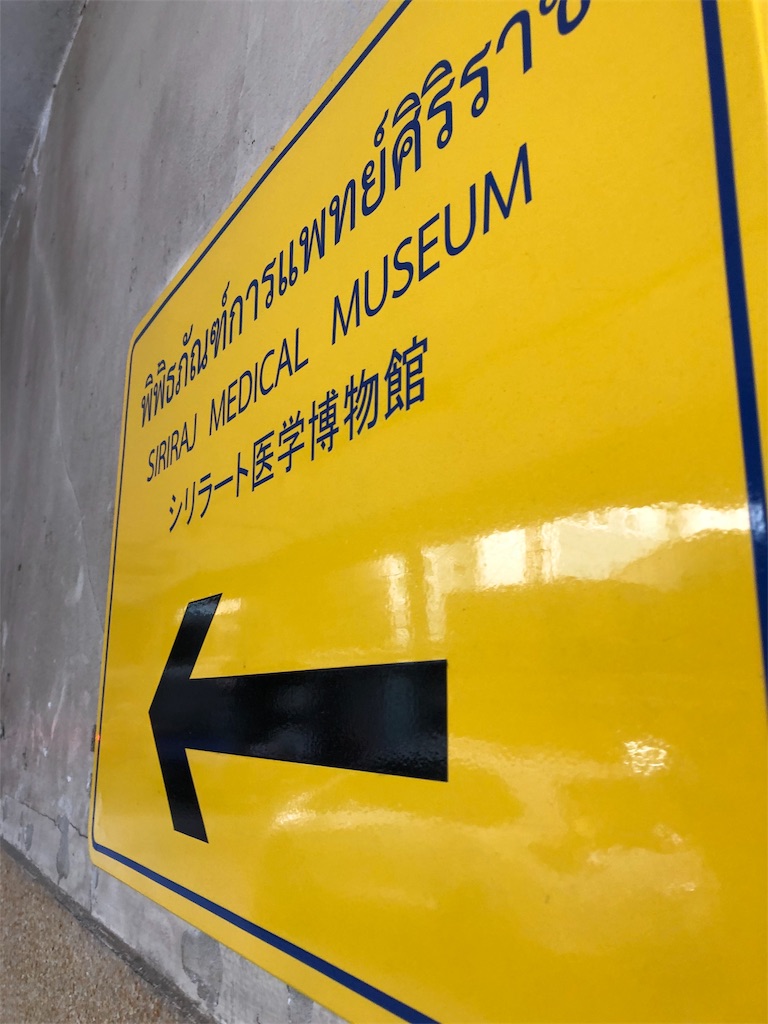 f:id:tama428428:20190330165026j:image f:id:tama428428:20190330165026j:image