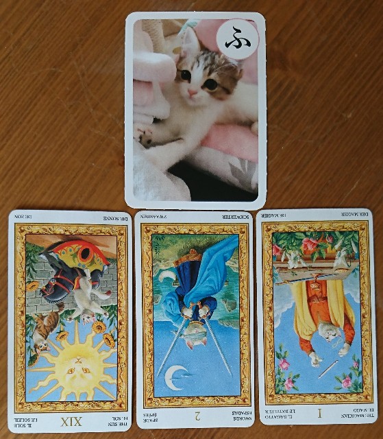 f:id:tama_arai:20201006162647j:image f:id:tama_arai:20201006162647j:image