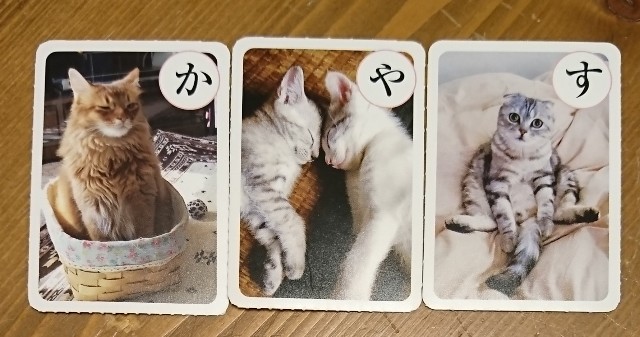 f:id:tama_arai:20201010181022j:image f:id:tama_arai:20201010181022j:image