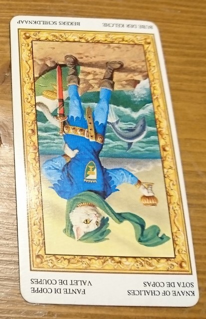 f:id:tama_arai:20201011211501j:image f:id:tama_arai:20201011211501j:image
