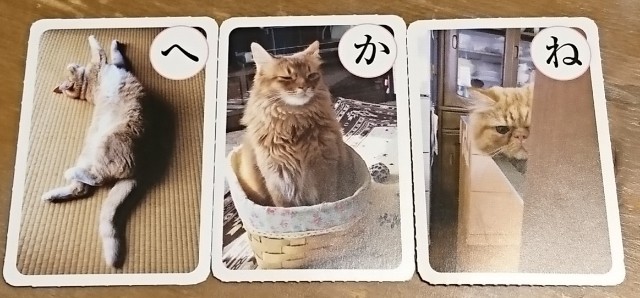 f:id:tama_arai:20201030193504j:image f:id:tama_arai:20201030193504j:image