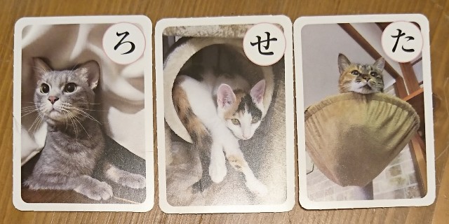 f:id:tama_arai:20201103202804j:image f:id:tama_arai:20201103202804j:image