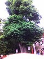 20080621134354