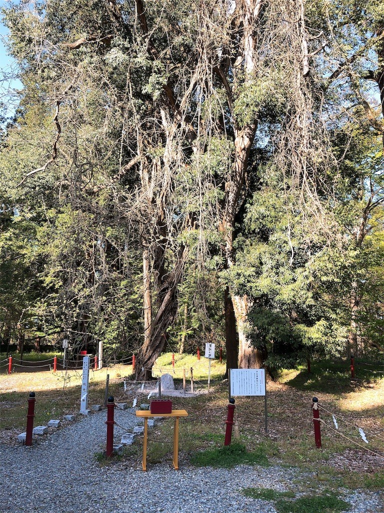 f:id:tamabar:20190524083013j:image