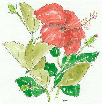 f:id:tamacafe:20200817111508j:plain
