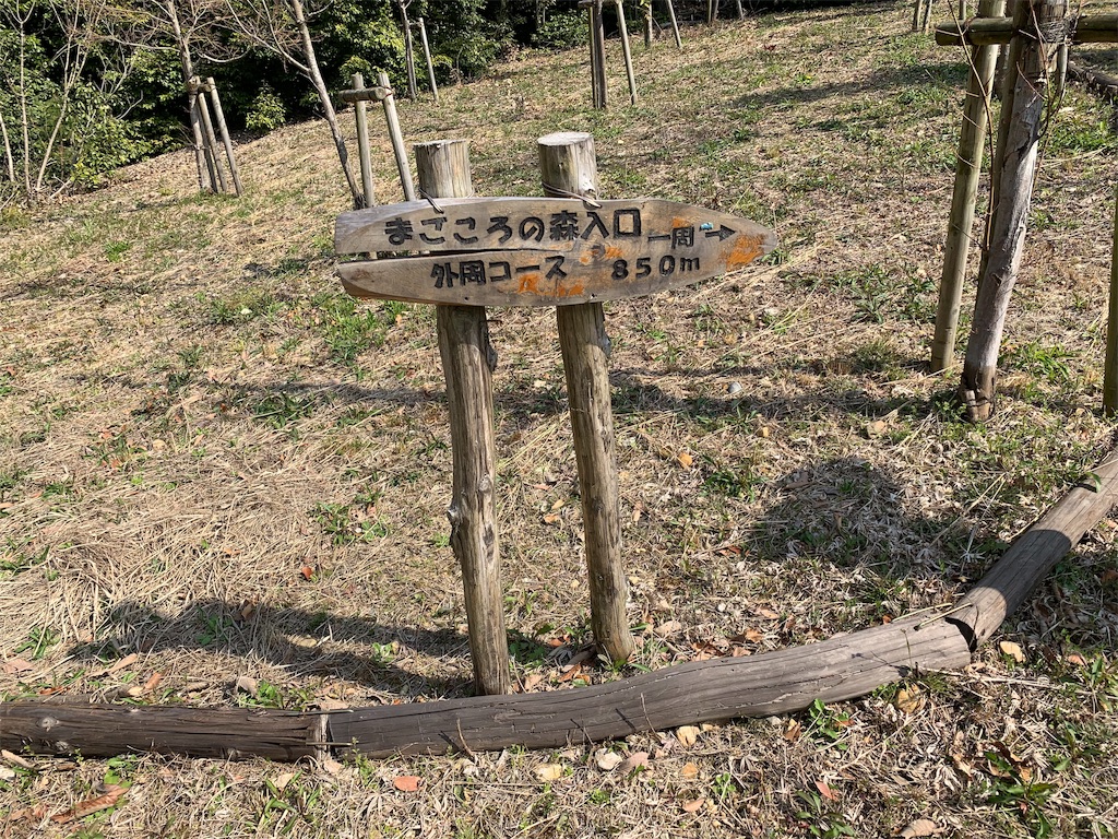 f:id:tamachan76:20190327105737j:image f:id:tamachan76:20190327105737j:image