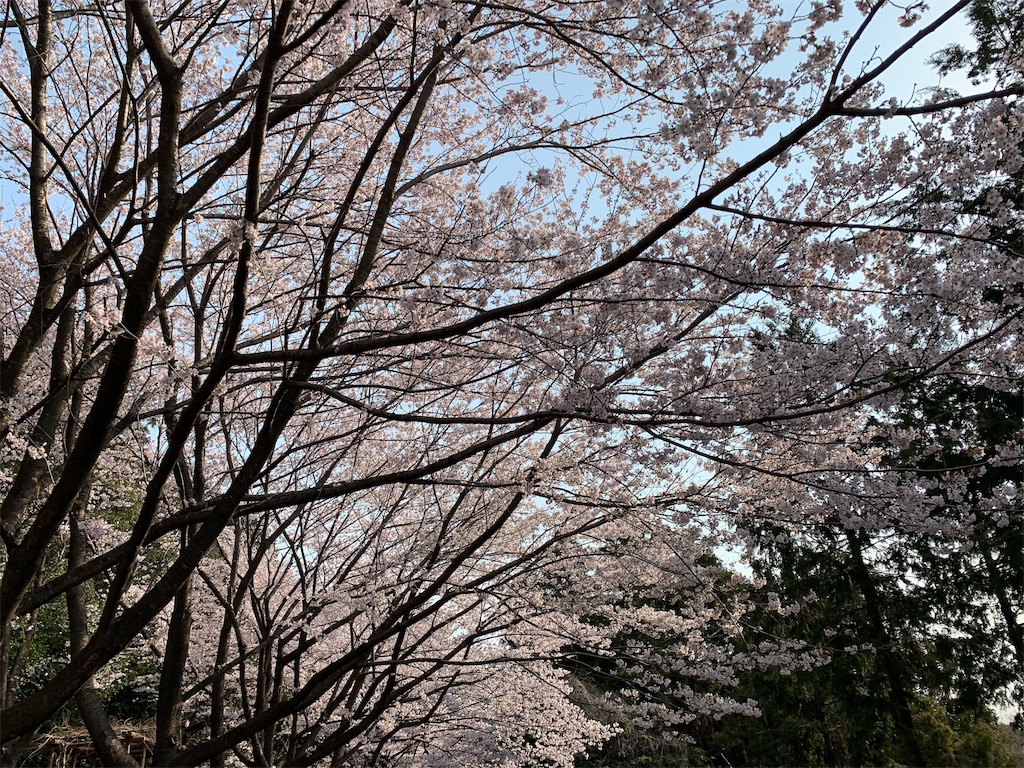 f:id:tamachan76:20190409212806j:image f:id:tamachan76:20190409212806j:image
