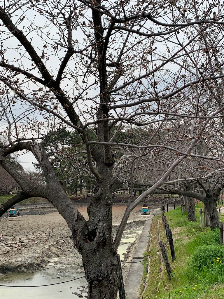 f:id:tamachan76:20200322182336j:image f:id:tamachan76:20200322182336j:image