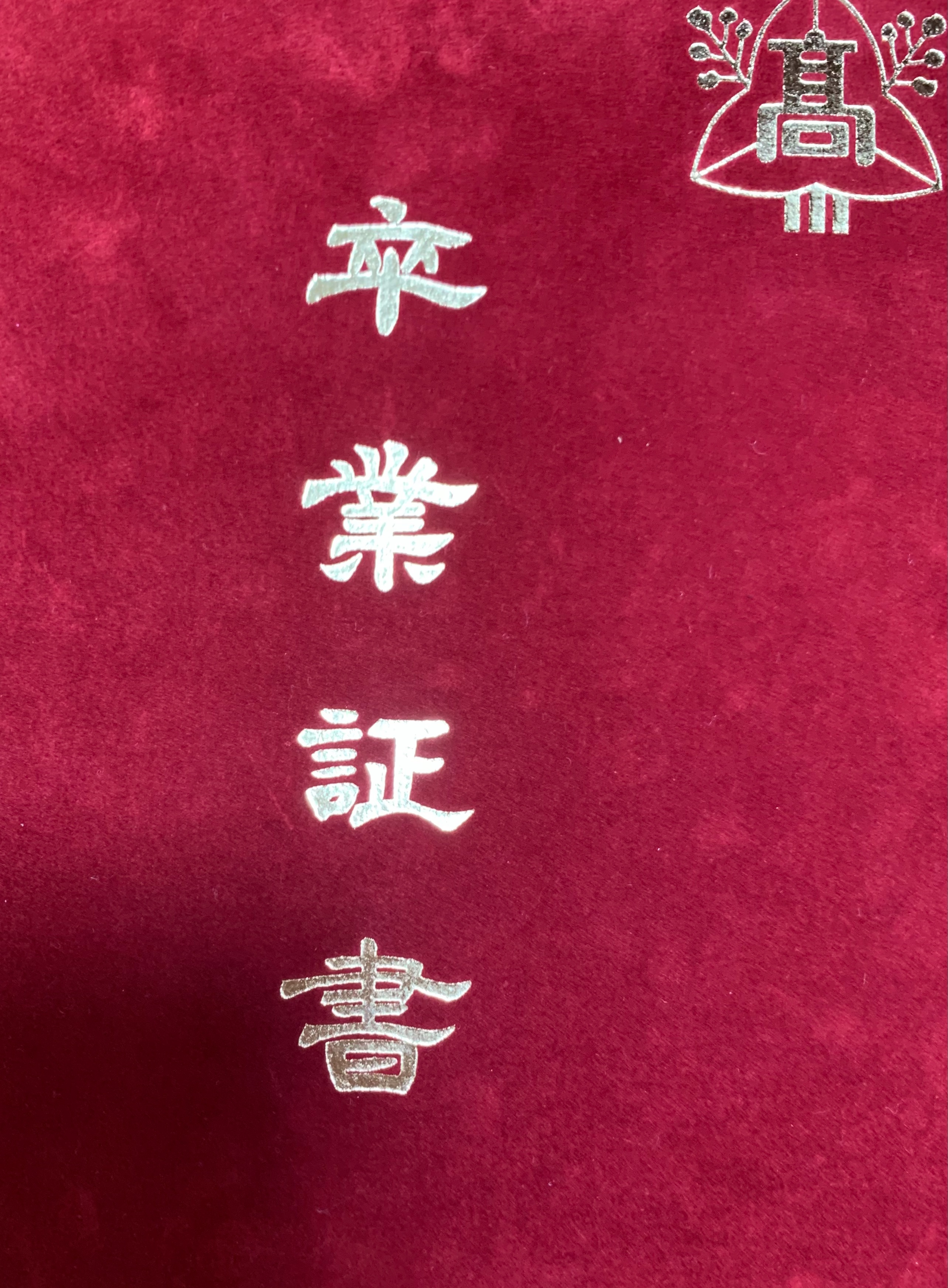 f:id:tamachan76:20210304202829j:image f:id:tamachan76:20210304202829j:image