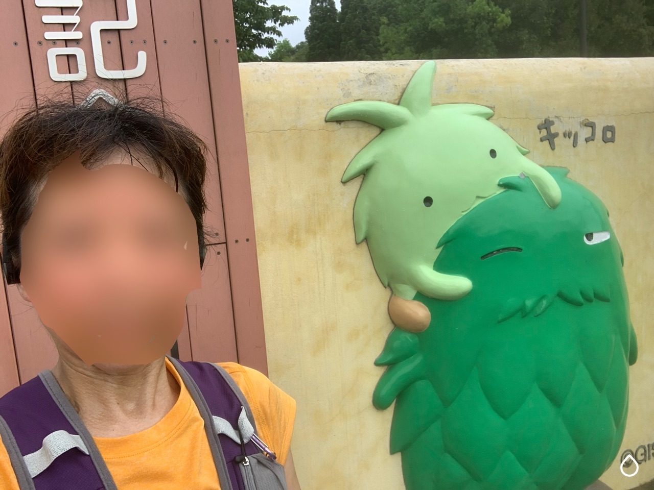 f:id:tamachan76:20210520192928j:image