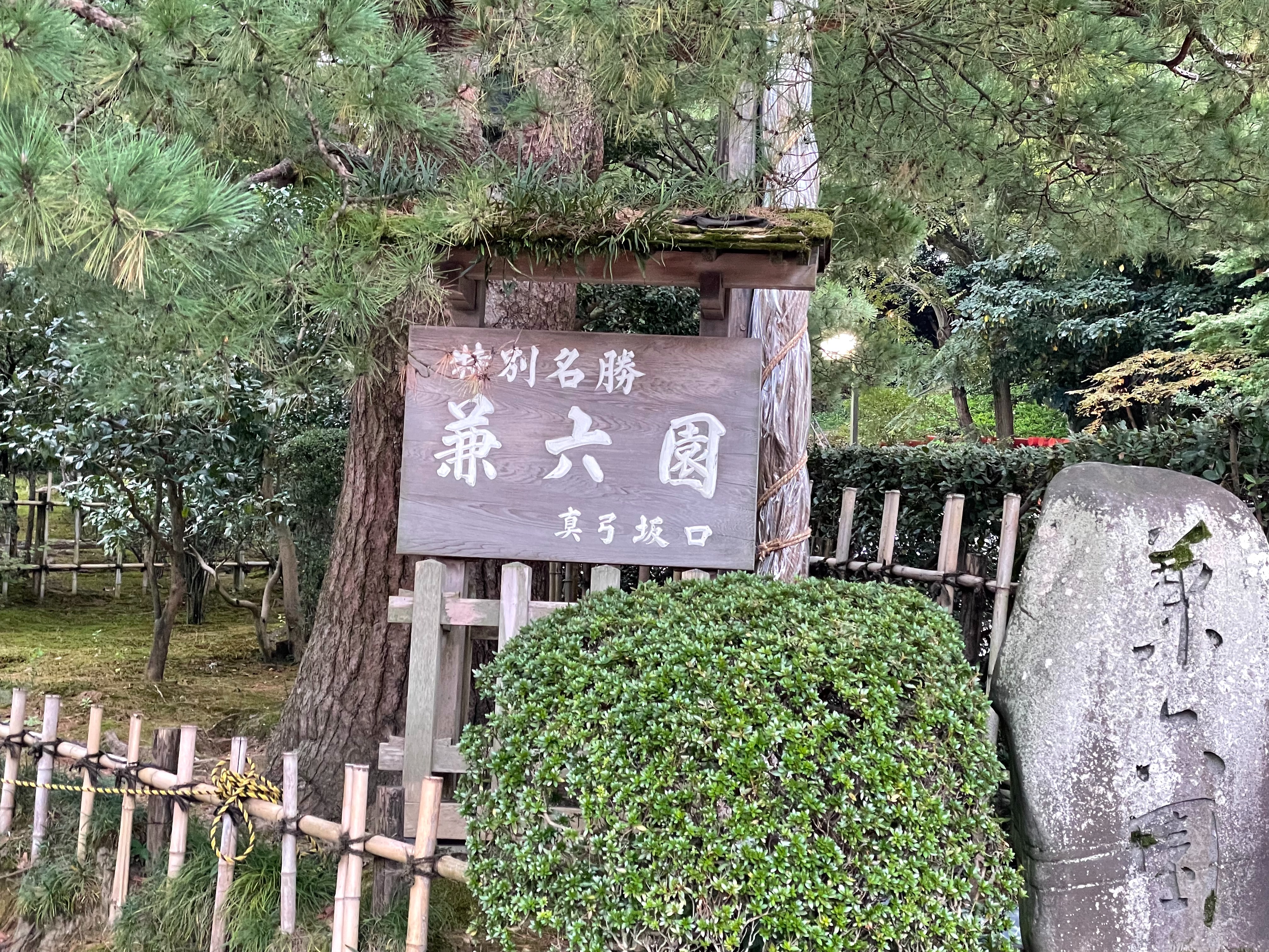 f:id:tamachan76:20211103191715j:image f:id:tamachan76:20211103191715j:image
