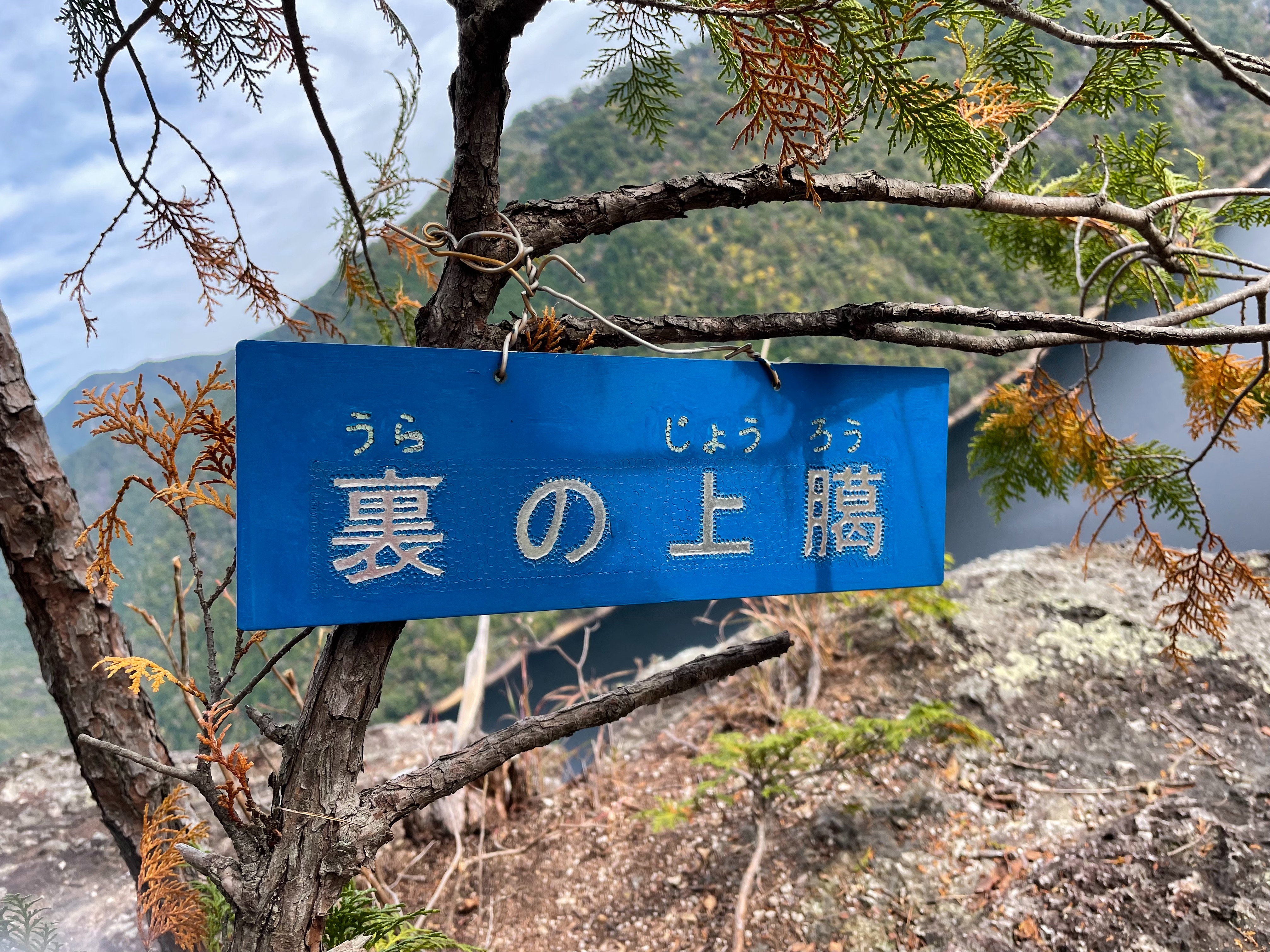 f:id:tamachan76:20211110191930j:image f:id:tamachan76:20211110191930j:image