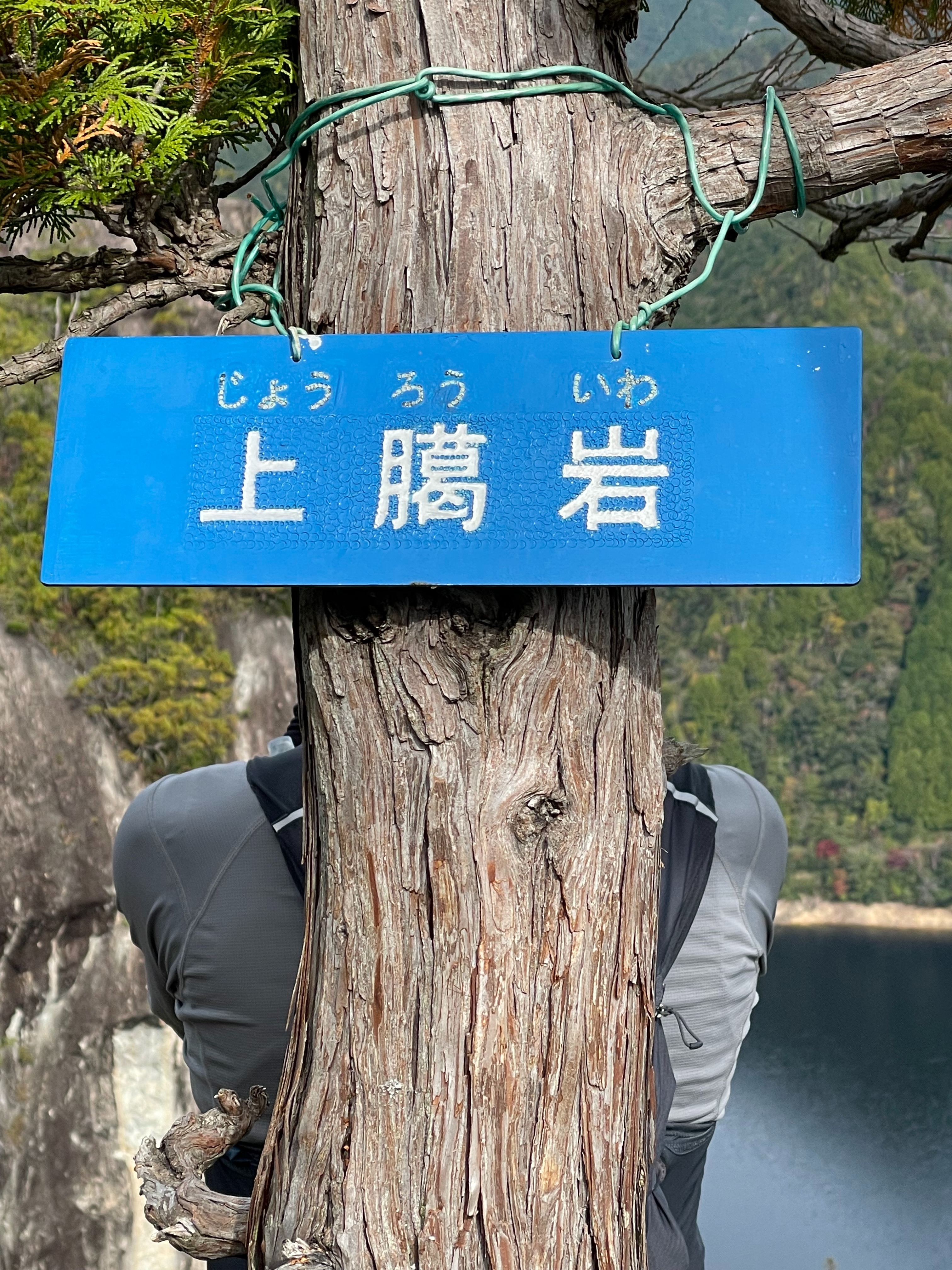 f:id:tamachan76:20211110191945j:image f:id:tamachan76:20211110191945j:image