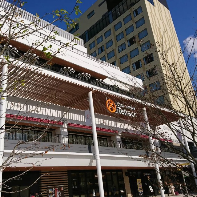 宇都宮駅からトナリエへ ゼビオと落合書店とヴィレバンが同じビルにある 11月上旬 流浪ブログ 日々是好日 本とラジオと飯を作る日々