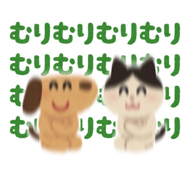 f:id:tamagami2:20200104015939j:image f:id:tamagami2:20200104015939j:image