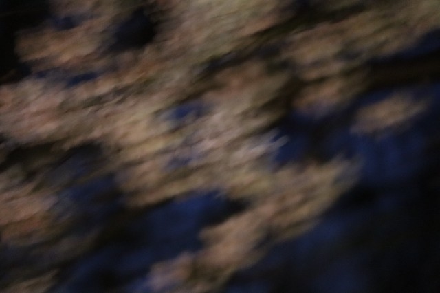 f:id:tamagami2:20200322204855j:image f:id:tamagami2:20200322204855j:image