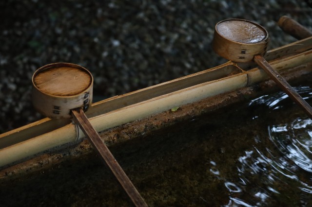 f:id:tamagami2:20200510133703j:image f:id:tamagami2:20200510133703j:image