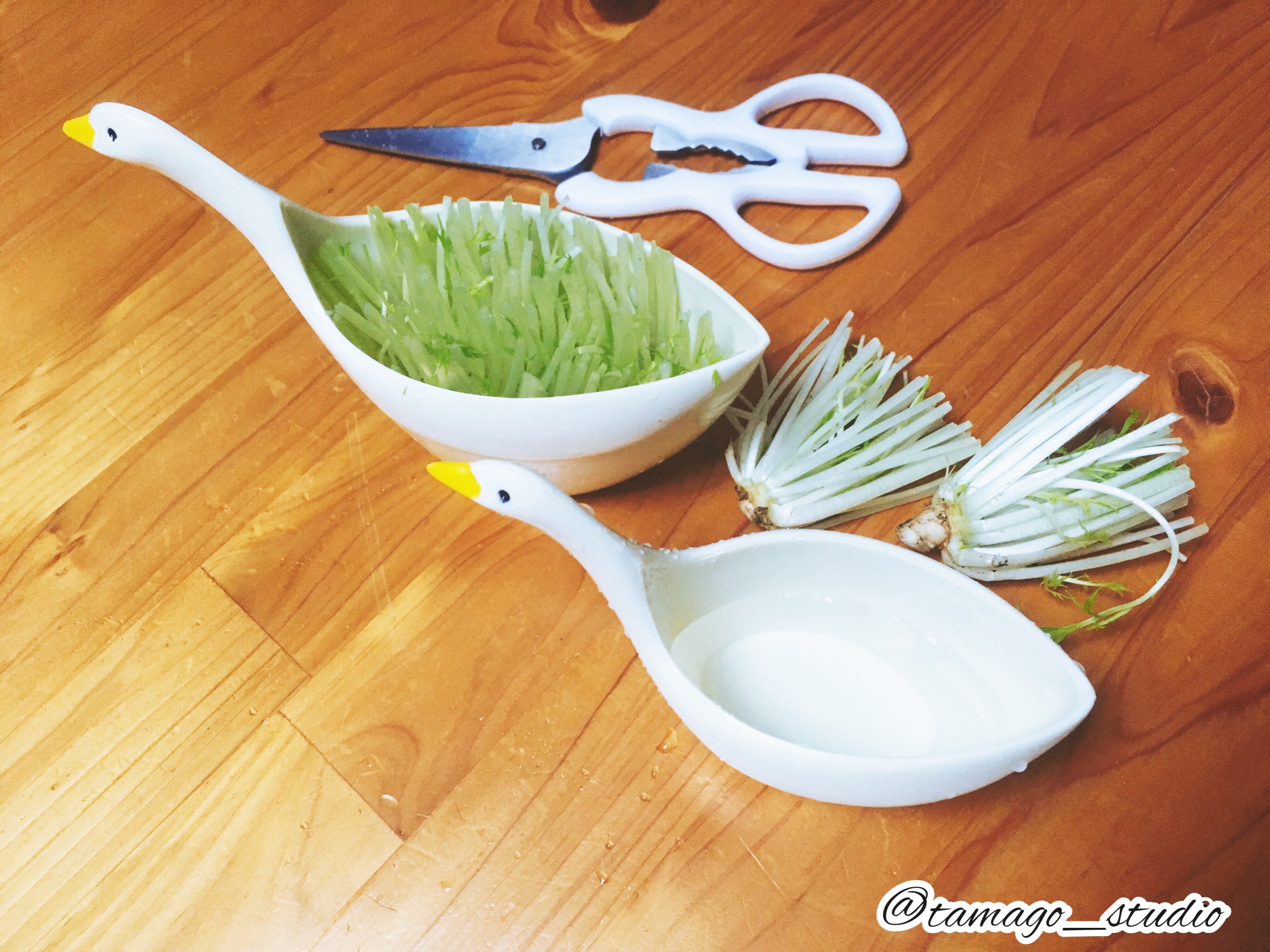 f:id:tamago_studio:20201119180919j:image f:id:tamago_studio:20201119180919j:image