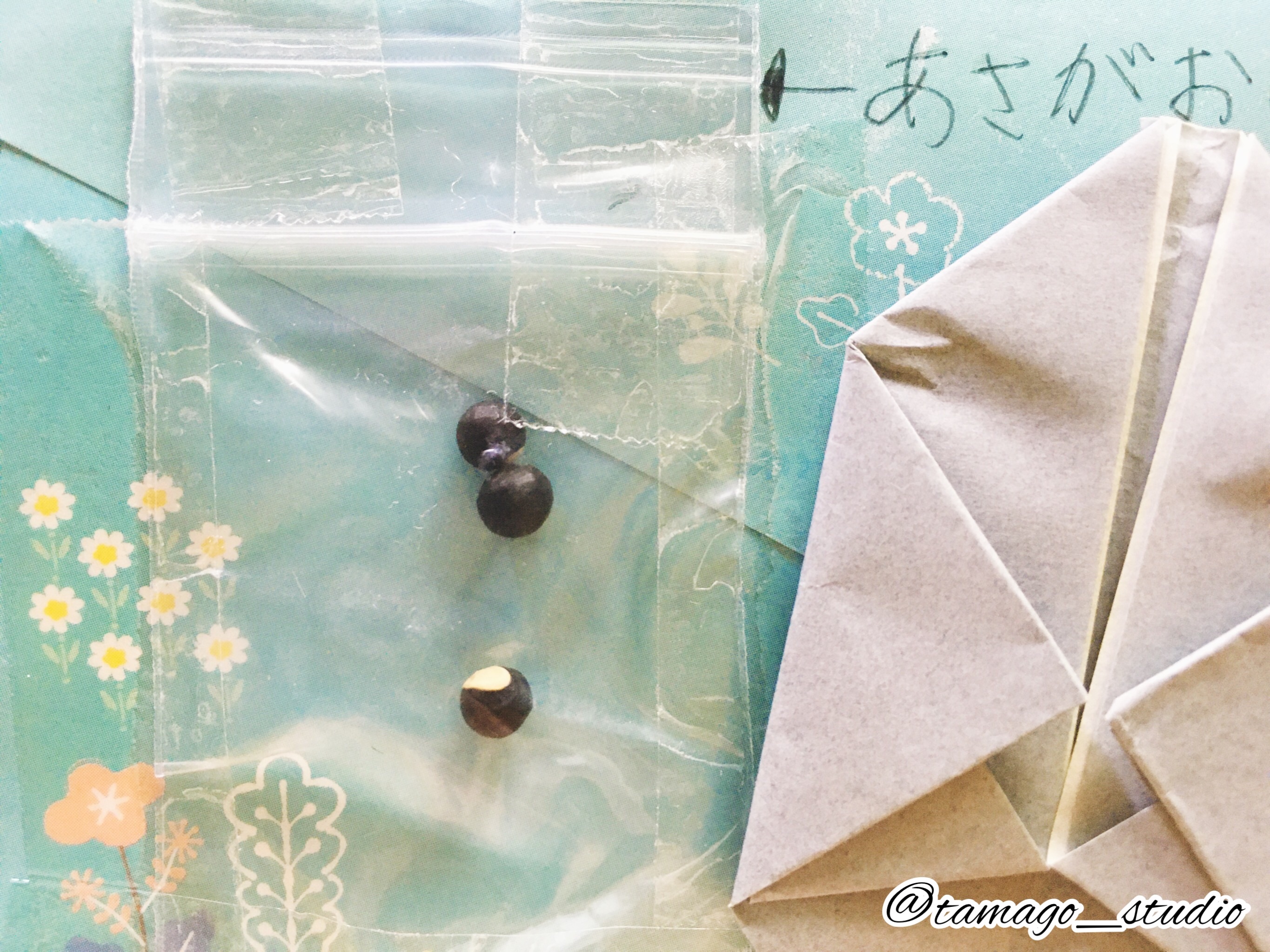 f:id:tamago_studio:20210624084401j:image