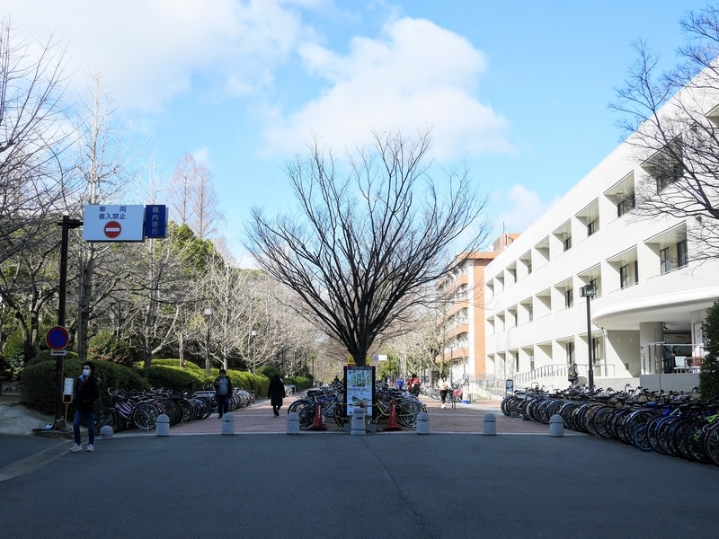f:id:tamagoggo:20200331205935j:plain f:id:tamagoggo:20200331205935j:plain