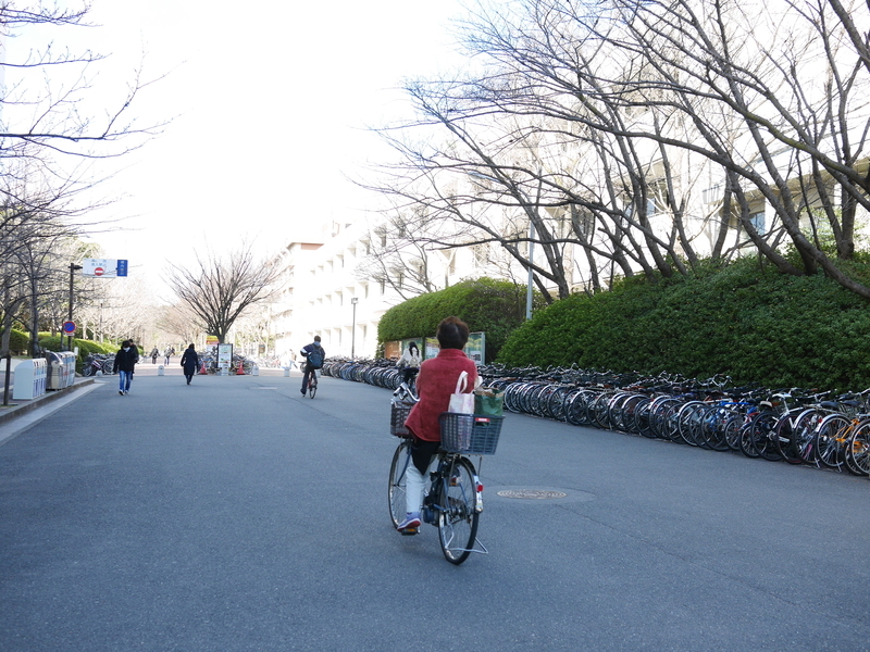 f:id:tamagoggo:20200331205948j:plain f:id:tamagoggo:20200331205948j:plain