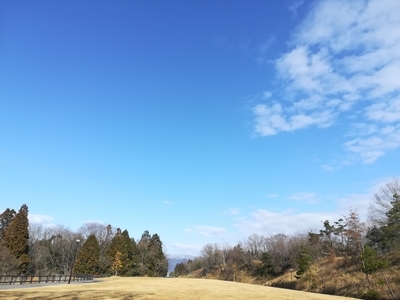 f:id:tamagokakegohanlove:20190317110741j:plain f:id:tamagokakegohanlove:20190317110741j:plain