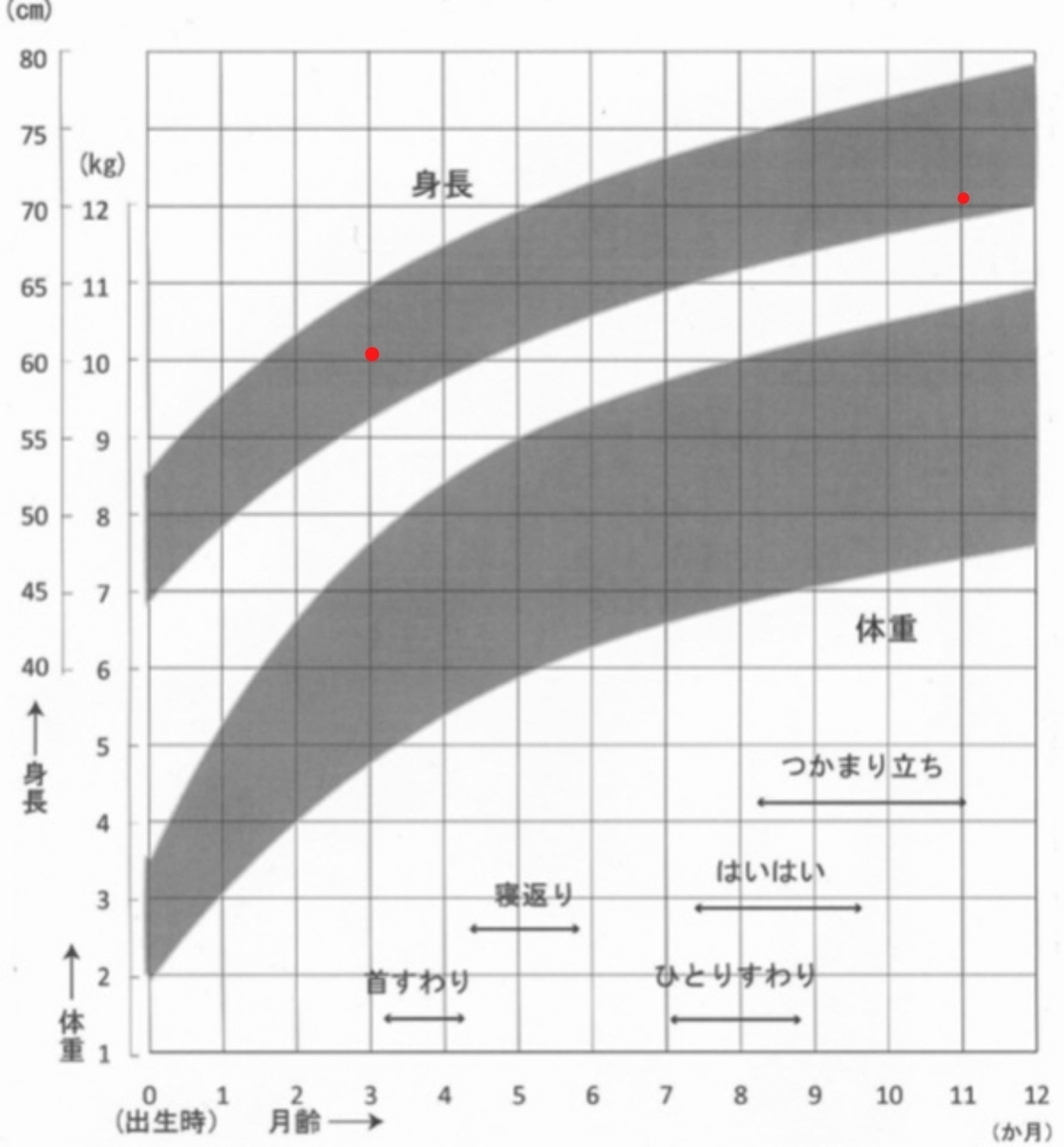f:id:tamagonoblog:20200624063321j:plain f:id:tamagonoblog:20200624063321j:plain