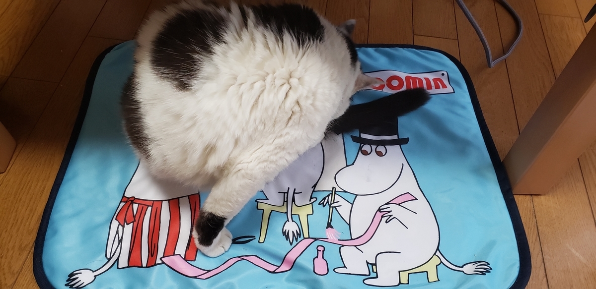 f:id:tamagonohiketsu:20200610181821j:plain