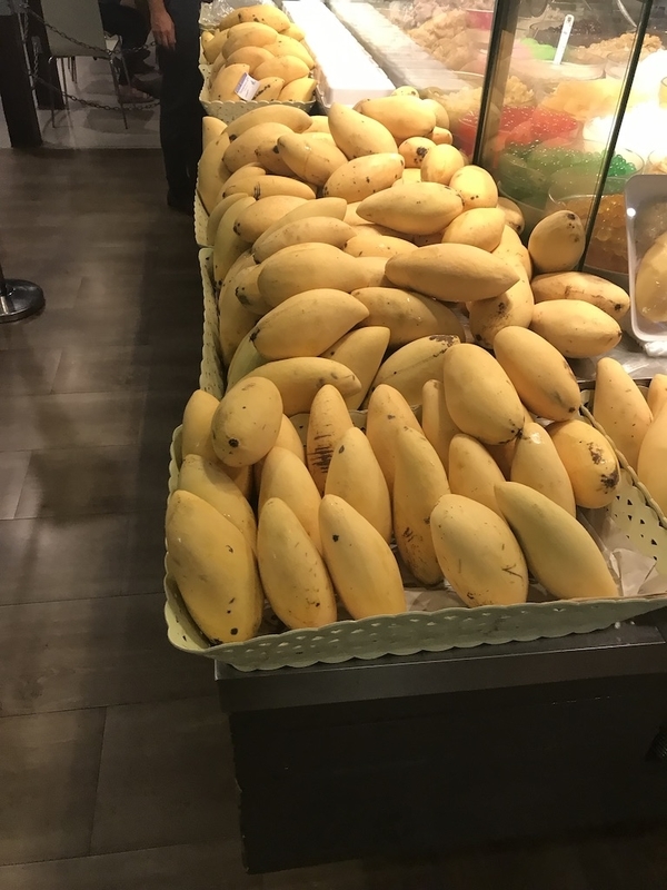 f:id:tamagonokodomo:20191018004820j:plain f:id:tamagonokodomo:20191018004820j:plain