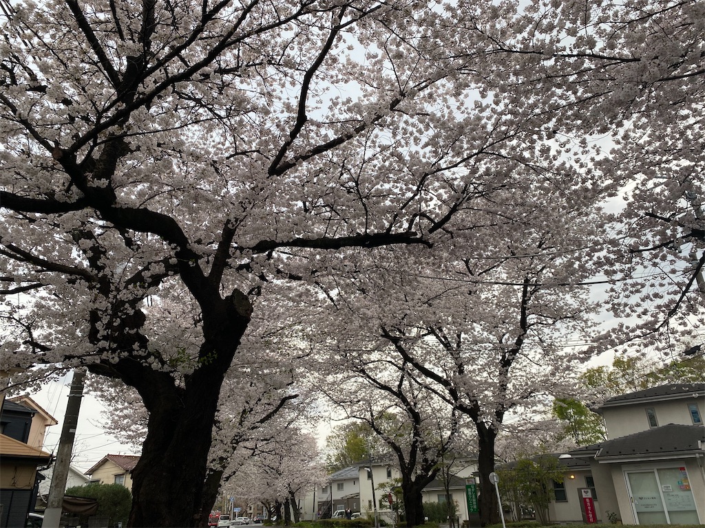 f:id:tamahappy721:20210328174503j:plain