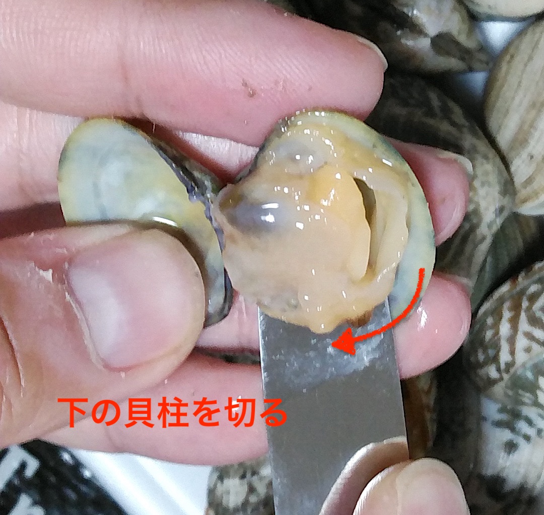 アサリの剥き方4