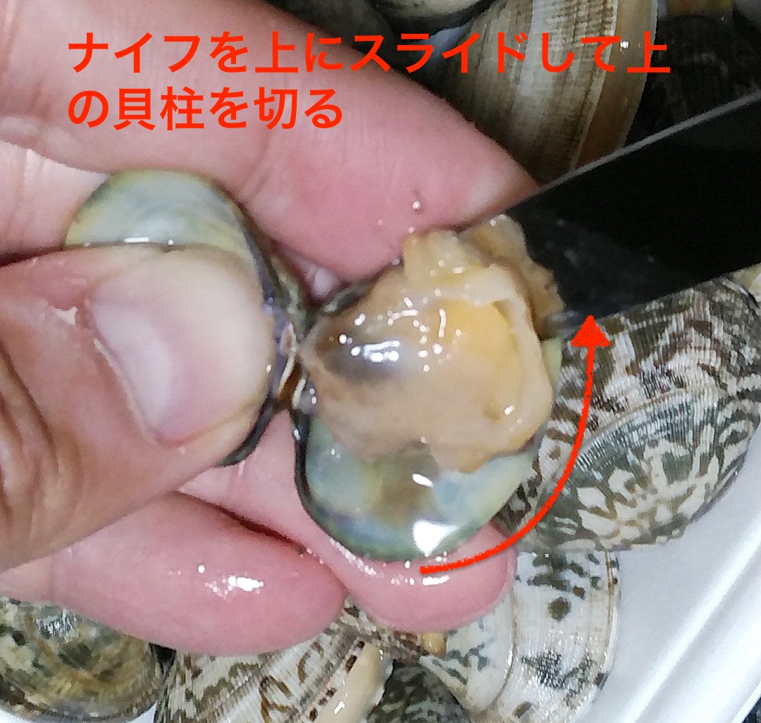 アサリの剥き方5