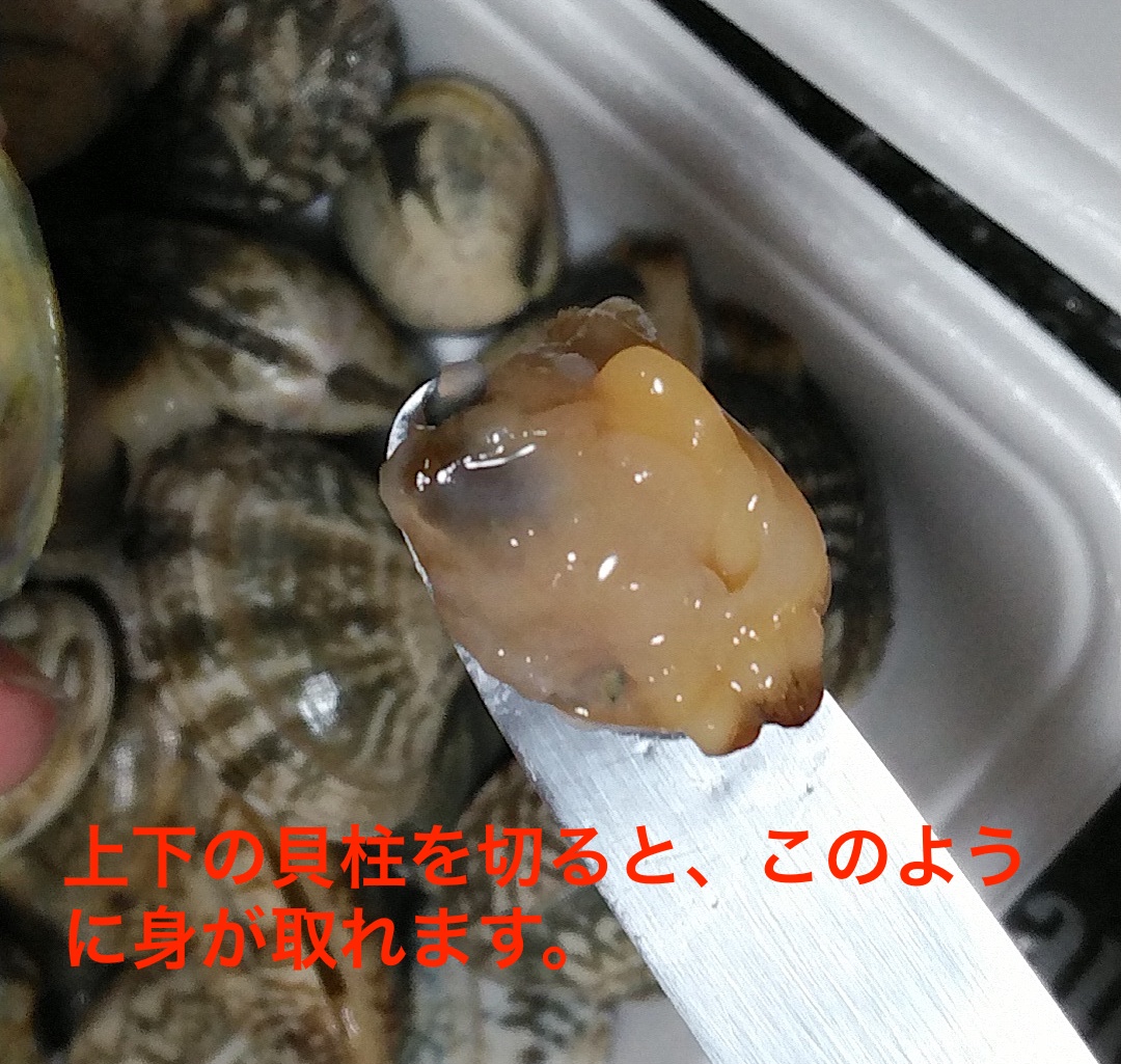 アサリの剥き方6