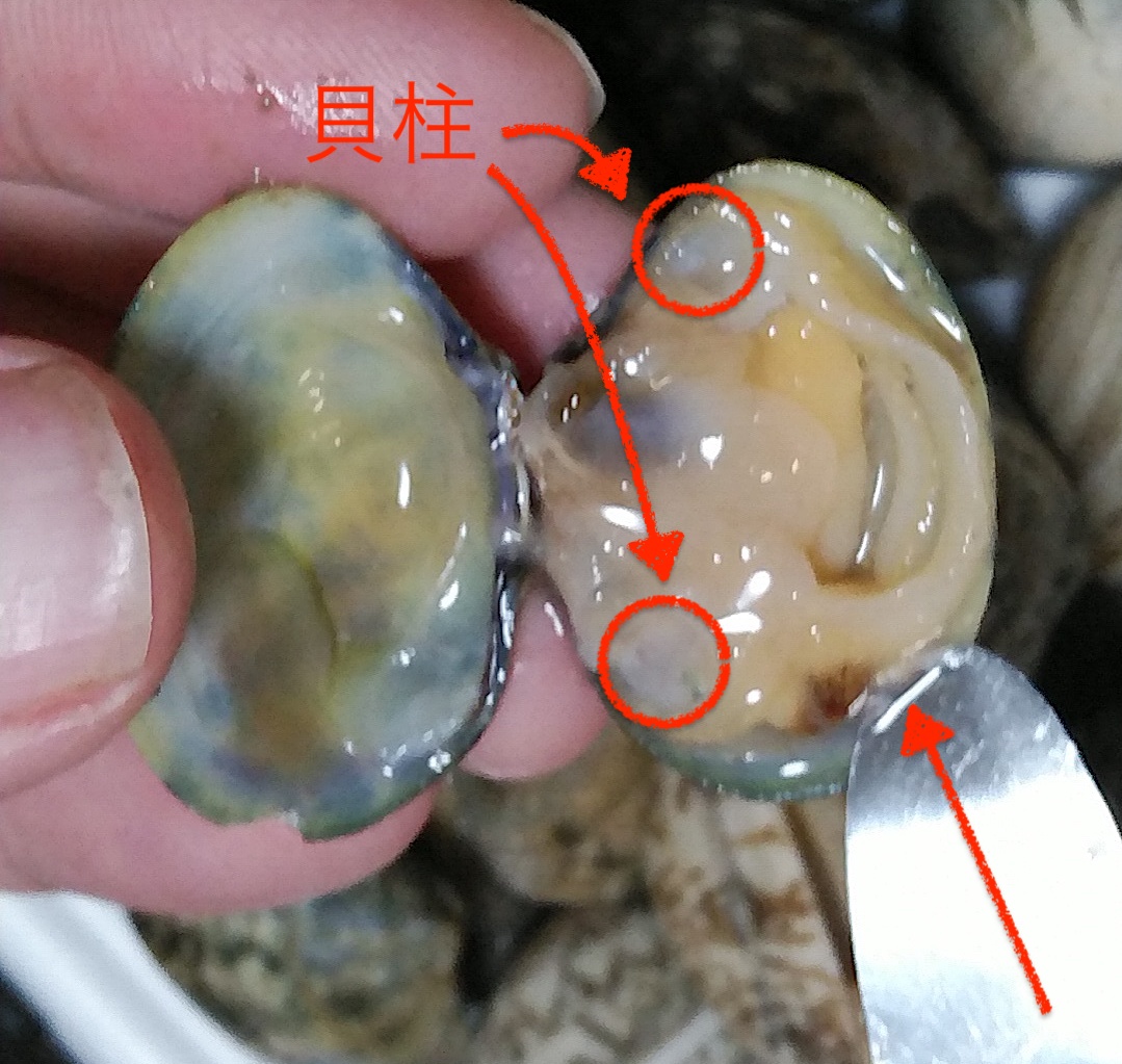 アサリの剥き方3