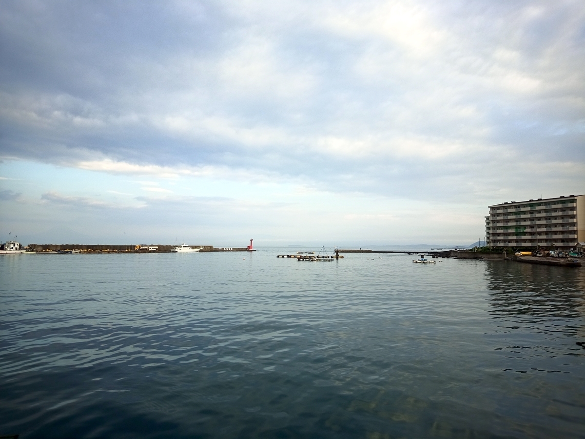 穏やかな朝の長井港