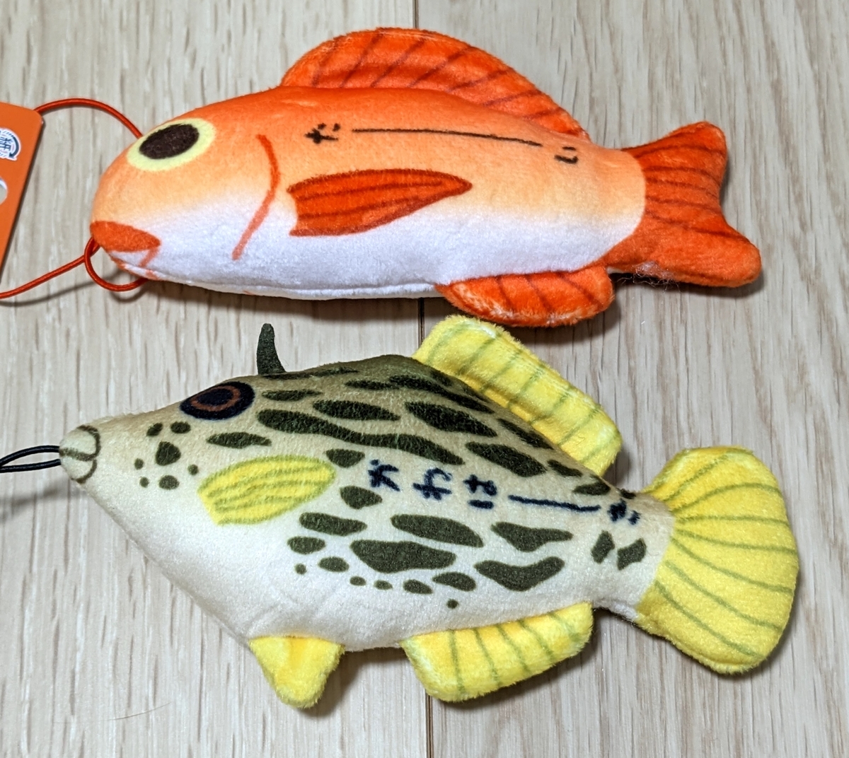 たーい&かわはーぎ