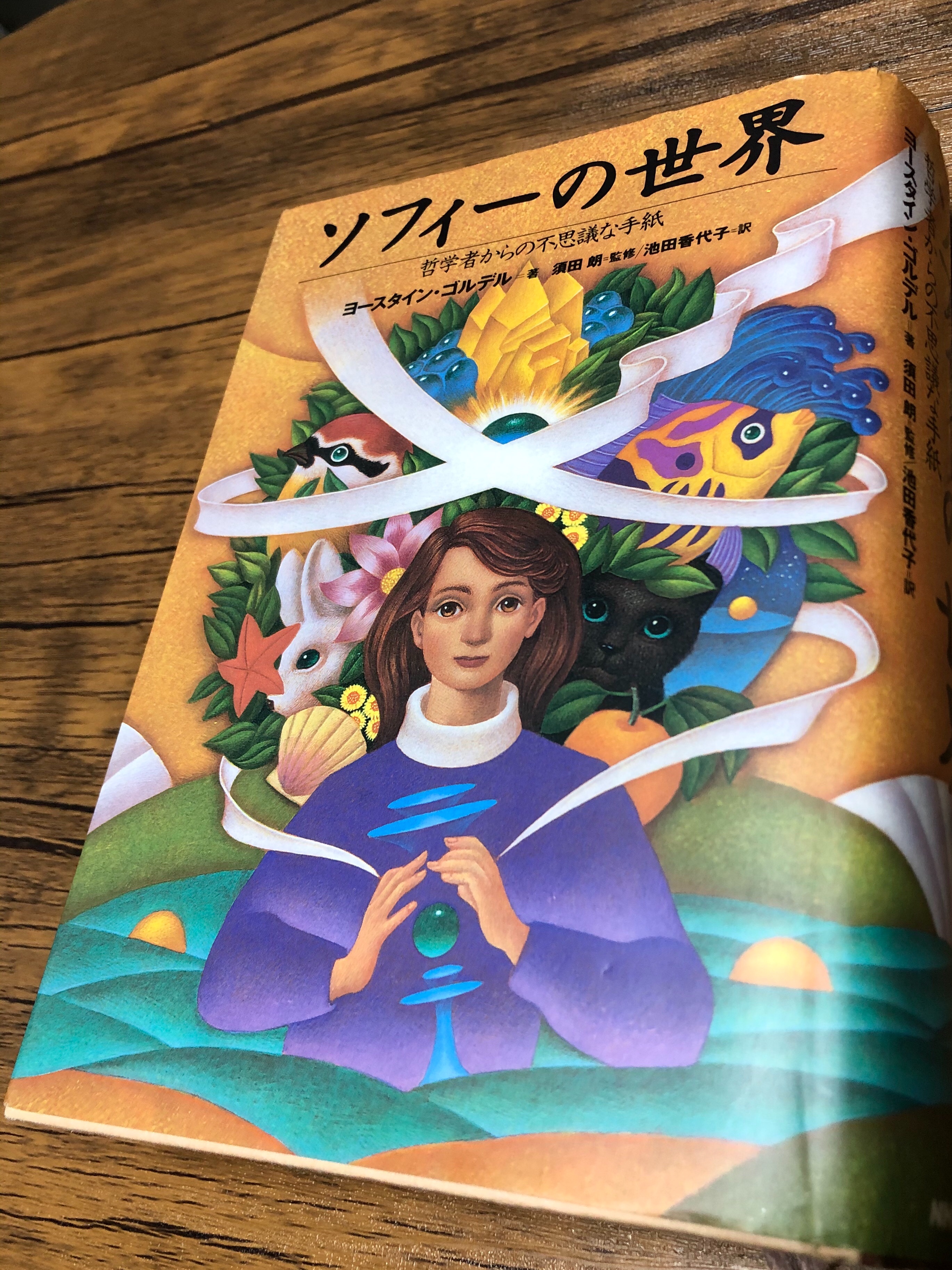 ソフィーの世界 哲学者からの不思議な手紙 読書レビュー Nijiiromagic