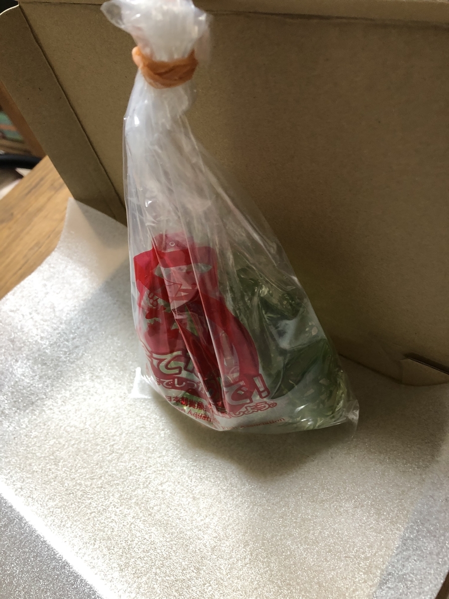 レッドラムズホーンの発送
