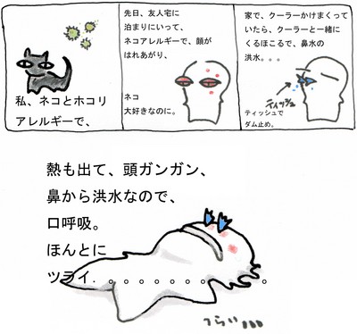 f:id:tamaho:20060823011237j:image f:id:tamaho:20060823011237j:image