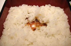 f:id:tamaho:20060901012556j:image f:id:tamaho:20060901012556j:image