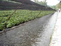 f:id:tamaho:20060901030145j:image f:id:tamaho:20060901030145j:image