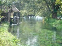 f:id:tamaho:20060901031251j:image f:id:tamaho:20060901031251j:image