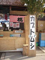 f:id:tamaho:20060901032413j:image f:id:tamaho:20060901032413j:image