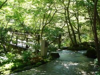 f:id:tamaho:20060902000751j:image