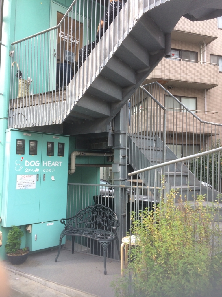 ドッグハートfromアクアマリン 子供も渋谷で犬とふれあえるお店 東京の子供の遊び場 イベント情報を紹介 子供あそびレポ