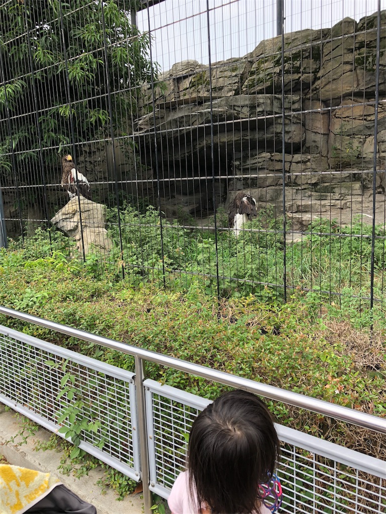 東武動物公園の2歳の子供が楽しめた動物園エリアおすすめスポット 東京の子供の遊び場 イベント情報を紹介 子供あそびレポ 東武動物公園の2歳の子供が楽しめた動物園エリアおすすめスポット 東京の子供の遊び場 イベント情報を紹介 子供あそびレポ