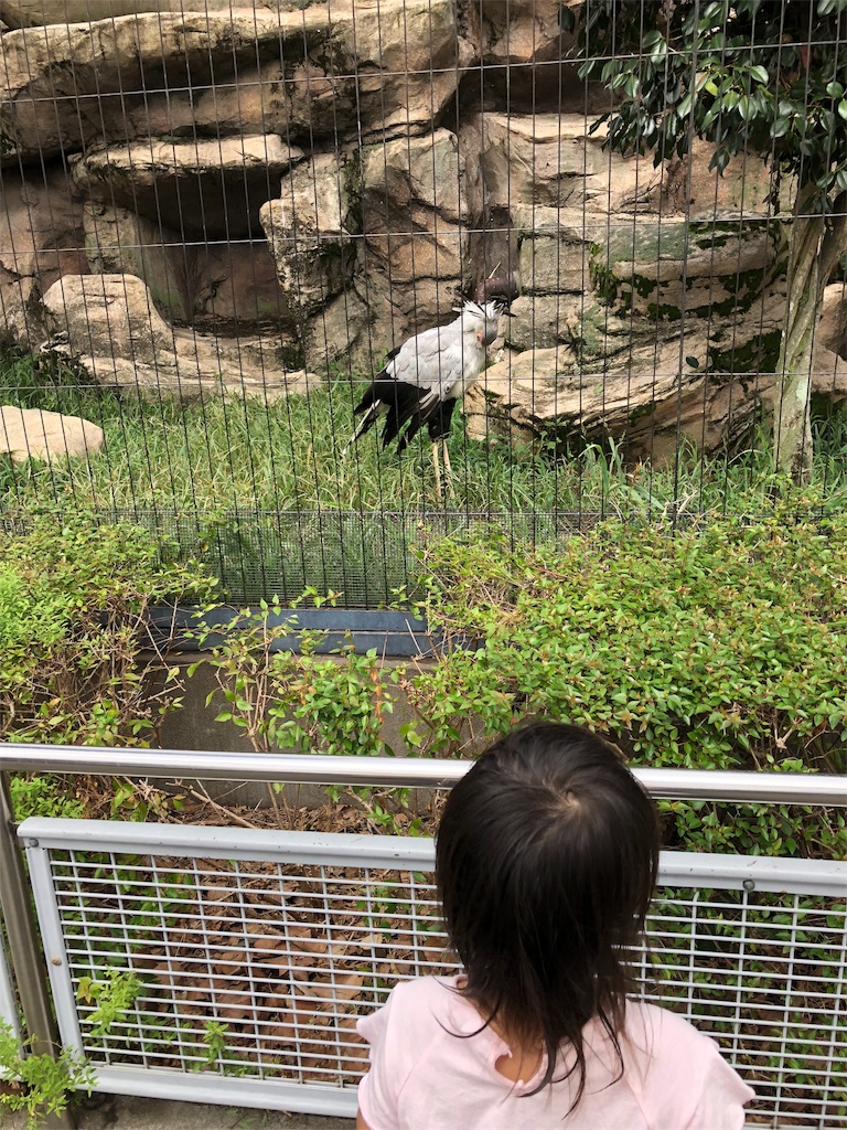 東武動物公園の2歳の子供が楽しめた動物園エリアおすすめスポット 東京の子供の遊び場 イベント情報を紹介 子供あそびレポ